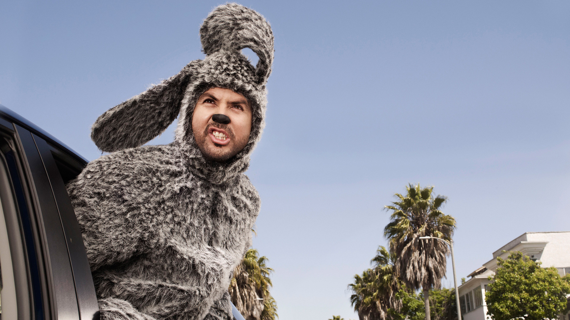 TV Show Wilfred HD Wallpaper | Background Image