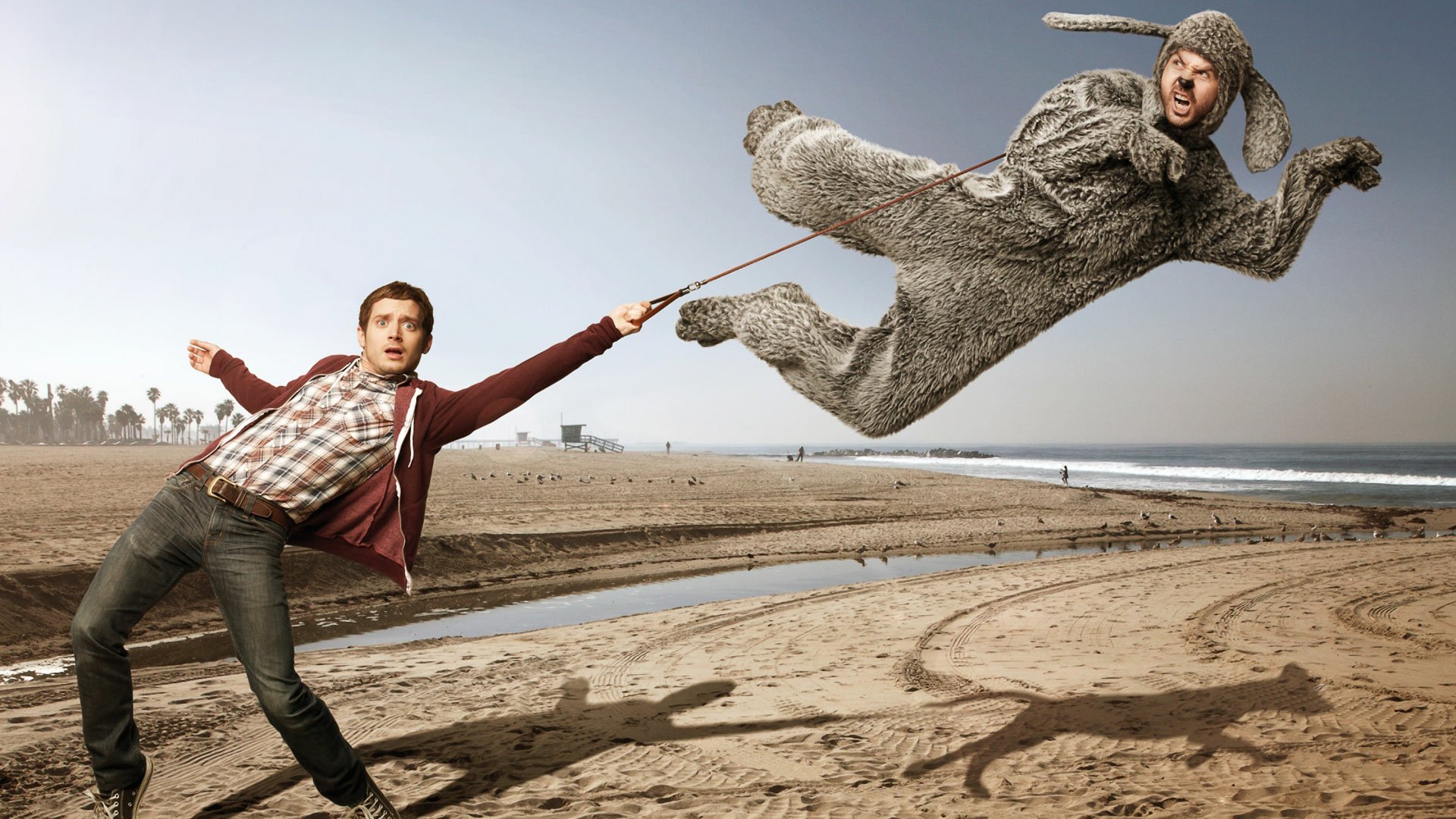 Download Jason Gann Sitcom Elijah Wood Wilfred (TV Show) TV Show Wilfred HD Wallpaper