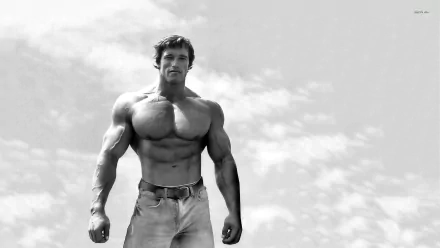 A striking black and white image of a muscular man standing confidently against a cloudy sky, showcasing Arnold Schwarzenegger as a captivating desktop wallpaper.
