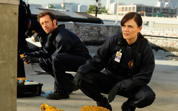Jack Hodgins T.J. Thyne Emily Deschanel Temperance Brennan TV Show bones HD Desktop Wallpaper | Background Image