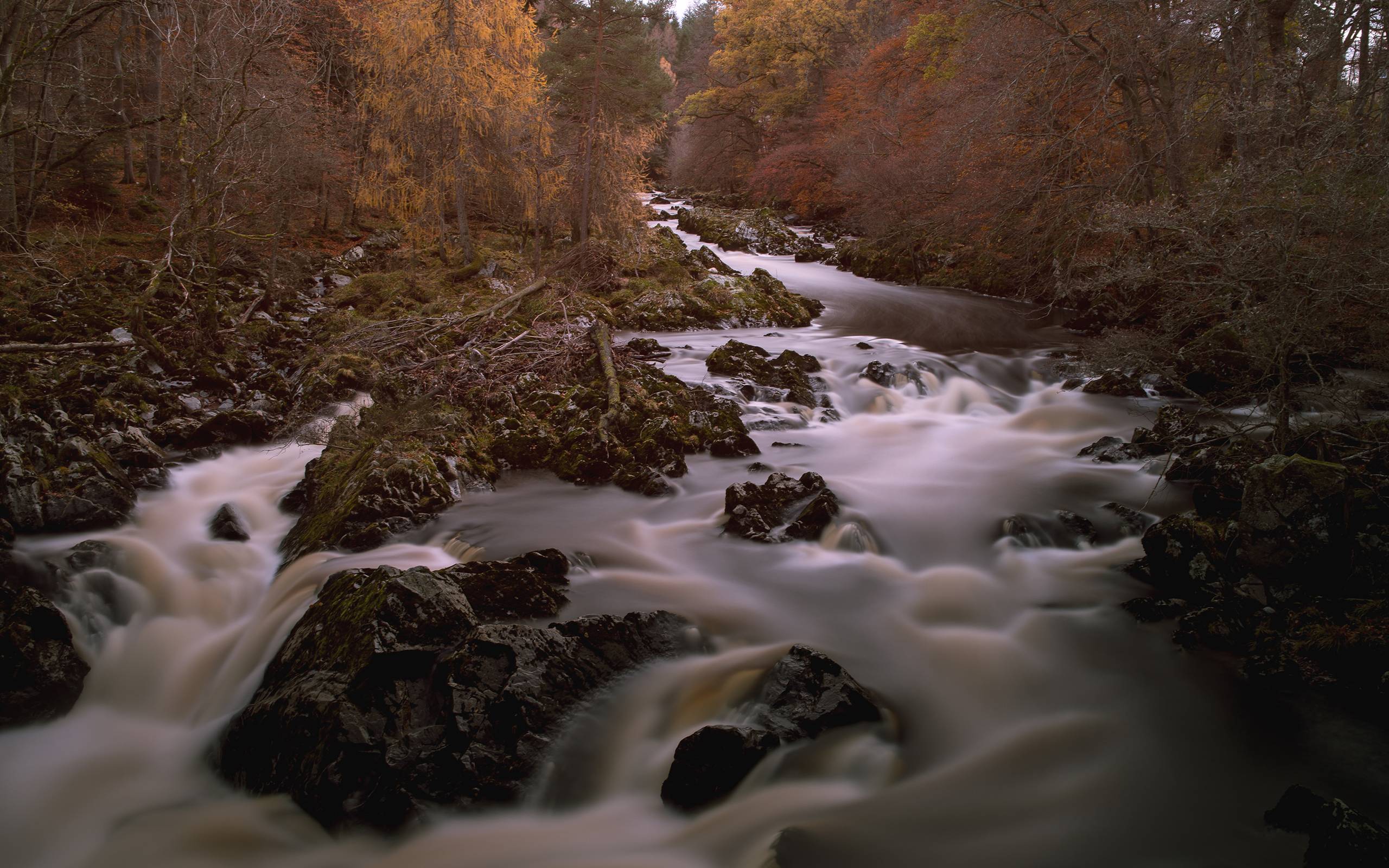 Nature Stream HD Wallpaper