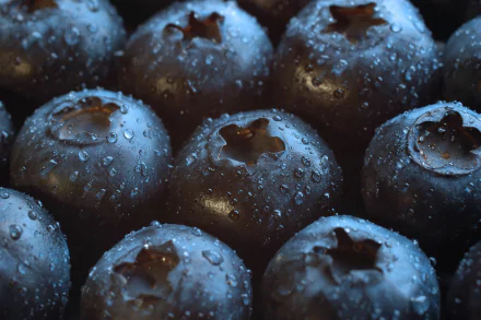 food blueberry HD Desktop Wallpaper | Background Image