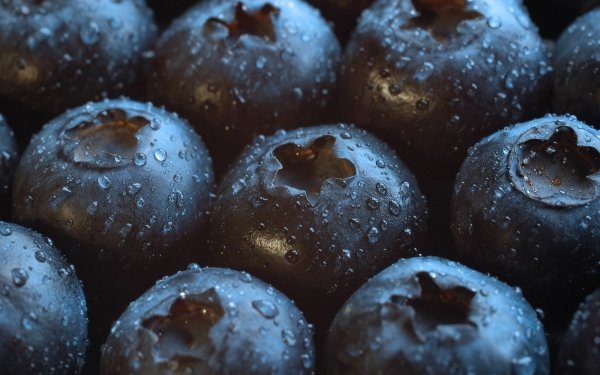Food Blueberry HD Wallpaper | Background Image