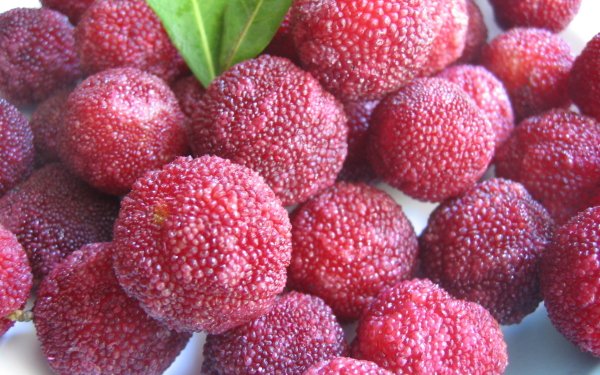 Food Red Bayberry HD Wallpaper | Background Image
