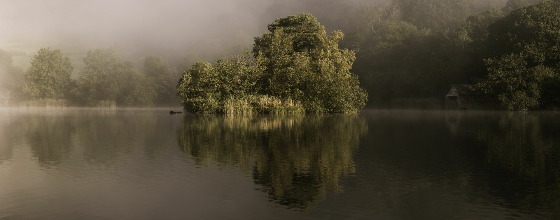 An 8K Ultra HD desktop wallpaper capturing a fog-covered lake with lush greenery reflected in the calm water, surrounded by serene nature.