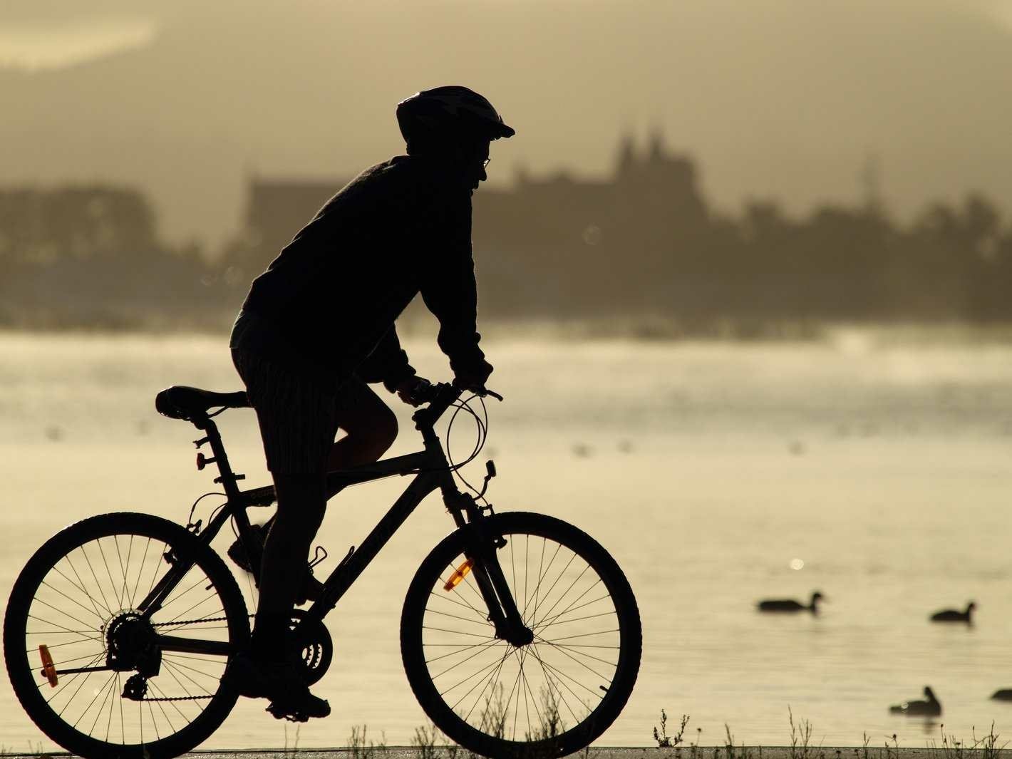 Silhouette of a person riding a bicycle along a calm lakeshore at sunset — HD photography desktop wallpaper background with distant shoreline and birds.