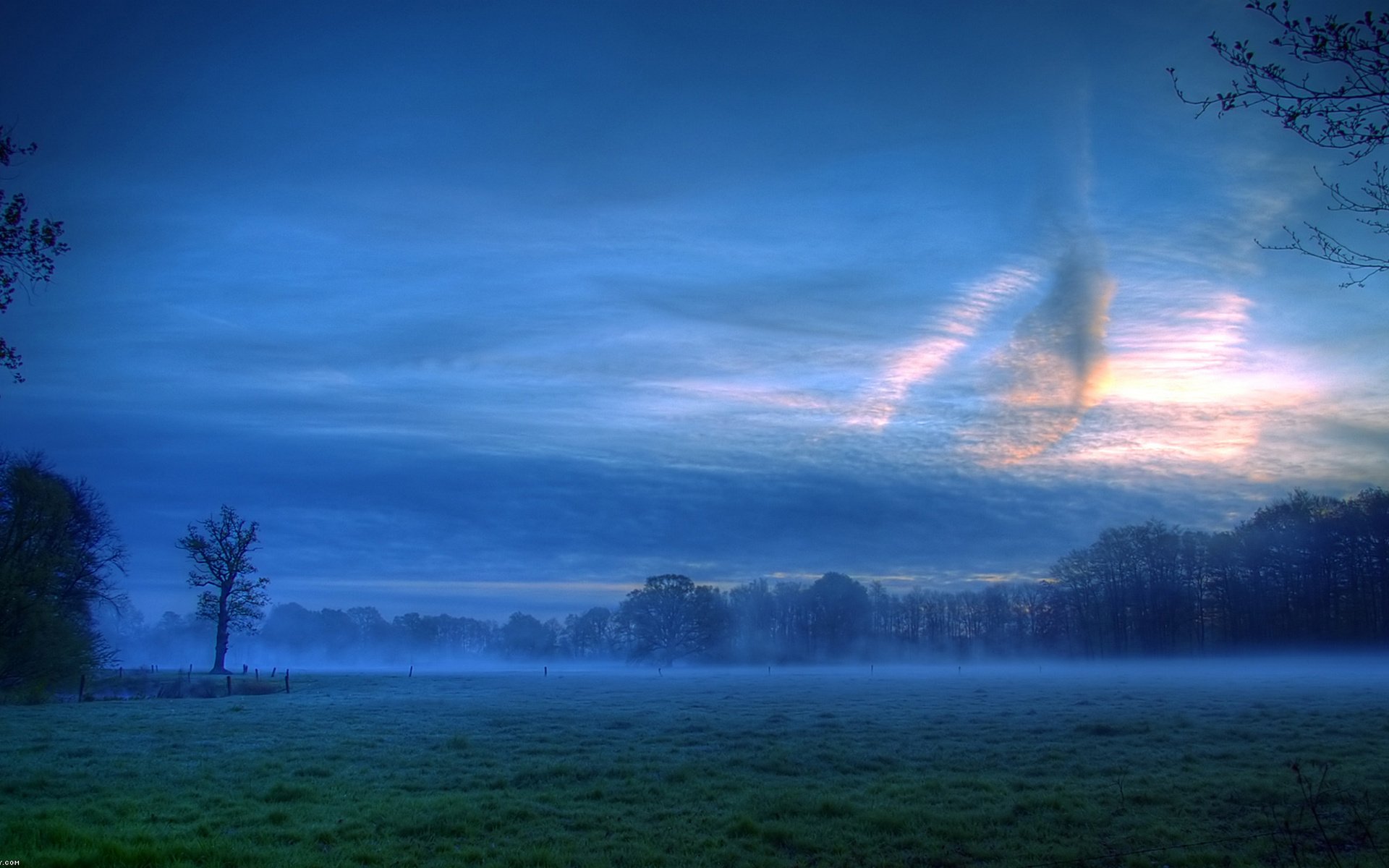 HD PC desktop wallpaper showcasing a serene nature landscape with a misty field, silhouetted trees, and a dramatic blue sky at dawn.