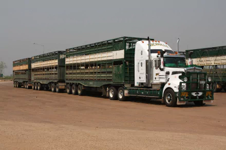 A Kenworth road train with multiple trailers parked on a dusty lot, captured in 4K Ultra HD as a striking PC desktop wallpaper and background.
