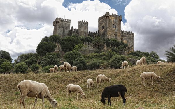 Man Made Almodovar Castle Castles Spain HD Wallpaper | Background Image