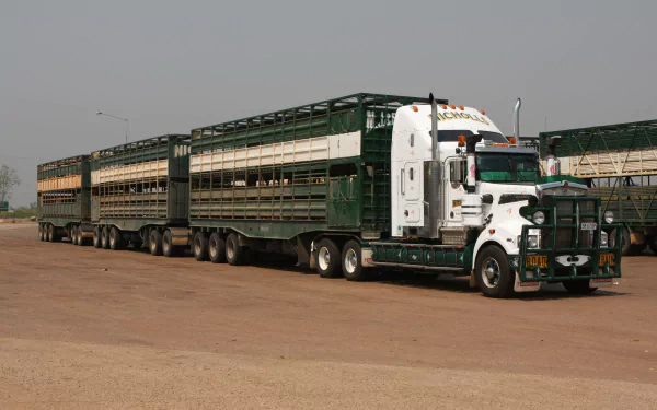 A Kenworth road train with multiple trailers parked on a dusty lot, captured in 4K Ultra HD as a striking PC desktop wallpaper and background.