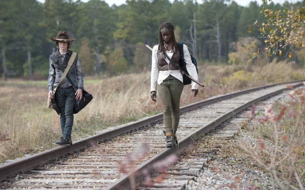 Carl Grimes Michonne (The Walking Dead) Danai Gurira TV Show The Walking Dead HD Desktop Wallpaper | Background Image