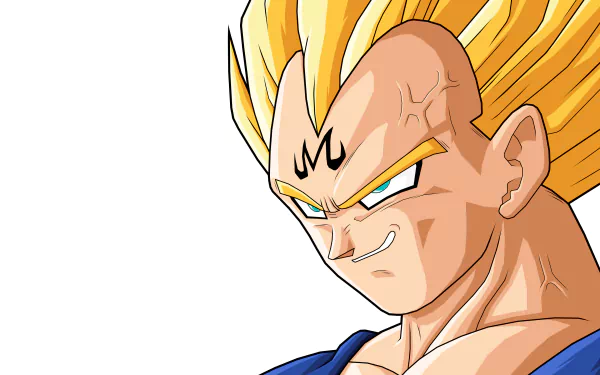 HD desktop wallpaper featuring Vegeta from Dragon Ball Z with a confident smirk, showcasing his iconic hairstyle and intense gaze, set against a clean, white background.
