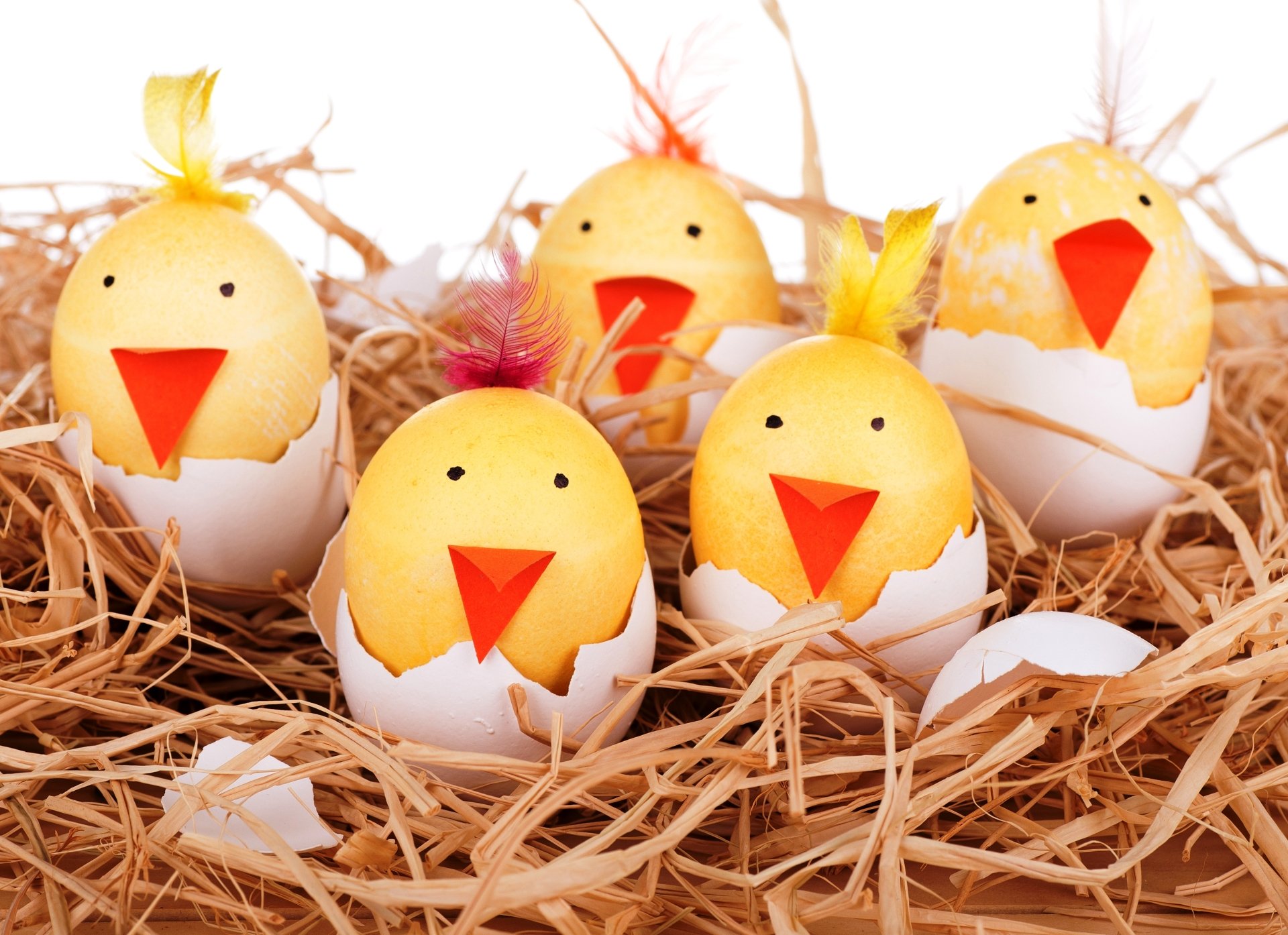 5K Ultra HD PC desktop wallpaper: five smiling Easter egg chicks cracked in shells, orange beaks and feathers in a straw nest — funny, festive background.