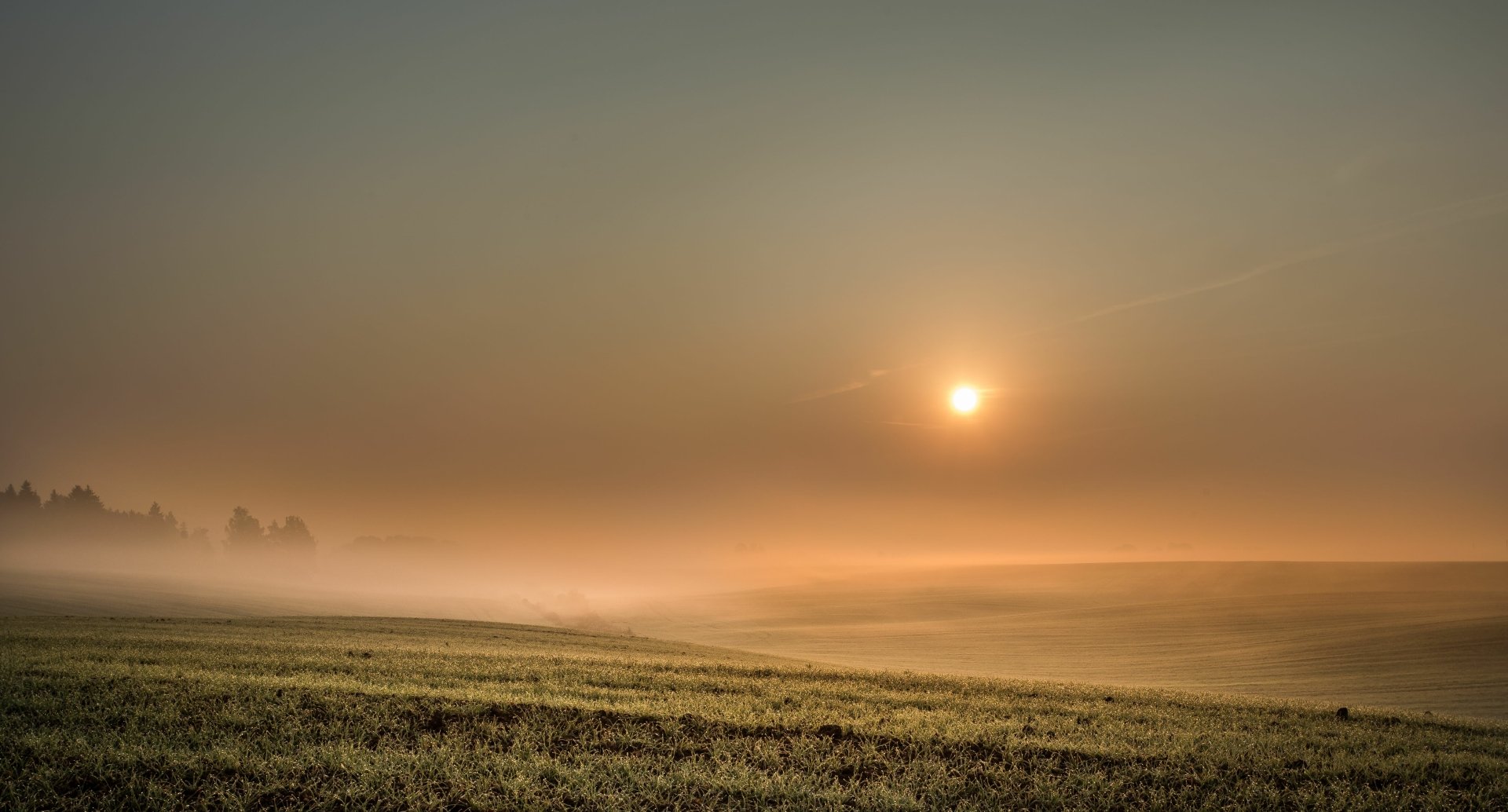 Download Nature Fog 4k Ultra HD Wallpaper
