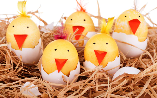 5K Ultra HD PC desktop wallpaper: five smiling Easter egg chicks cracked in shells, orange beaks and feathers in a straw nest — funny, festive background.