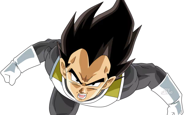 HD desktop wallpaper featuring Vegeta from Dragon Ball Z: Resurrection of F. Vegeta is shown in an intense, action-ready pose against a dark background.