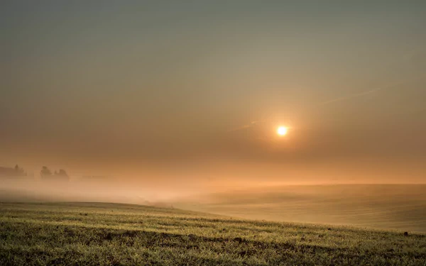 nature fog HD Desktop Wallpaper | Background Image
