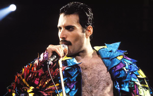 music Freddie Mercury HD Desktop Wallpaper | Background Image