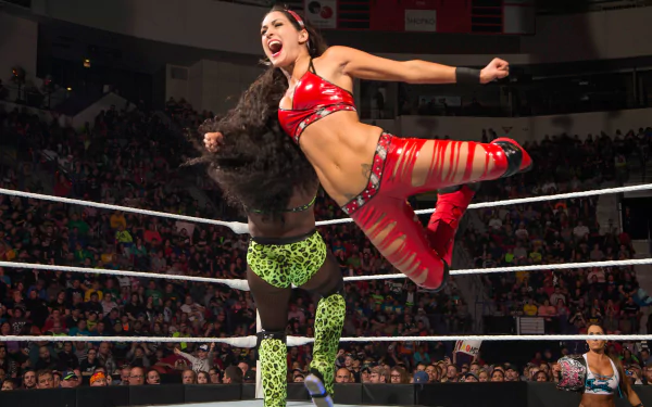 wrestling Sports HD Desktop Wallpaper | Background Image