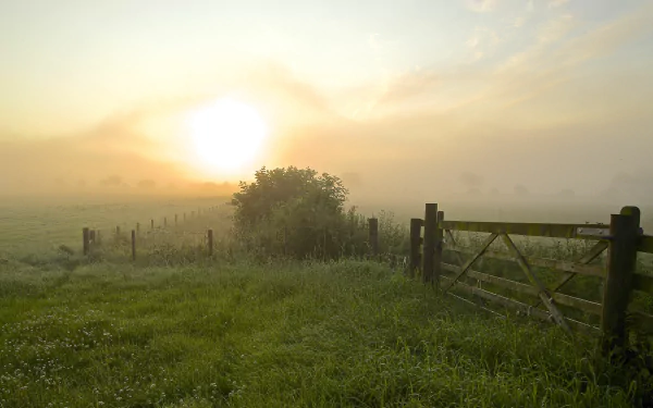 5K Ultra HD PC desktop wallpaper: foggy sunrise over a dewy field with a man-made wooden fence and gate in the foreground.