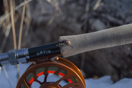 fishing Sports HD Desktop Wallpaper | Background Image