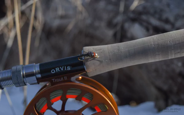 fishing Sports HD Desktop Wallpaper | Background Image