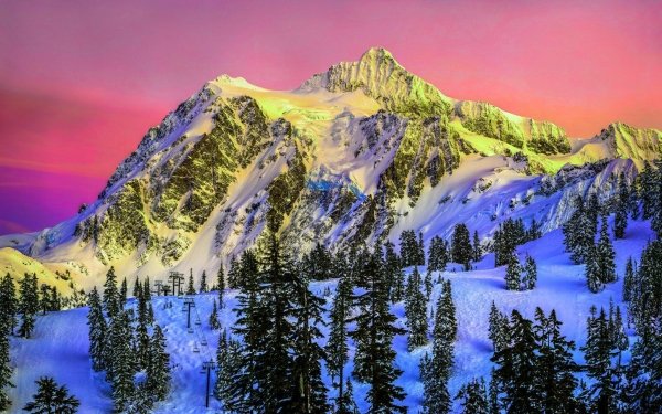 Earth Mountain Mountains Snow Nature Forest Winter HD Wallpaper | Background Image