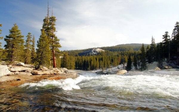 Nature Yosemite National Park National Park California Forest USA River Landscape HD Wallpaper | Background Image