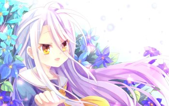 no game no life wallpaper no game no life wallpaper