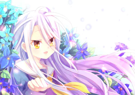 HD desktop wallpaper featuring Shiro from the anime No Game No Life, with a background of vibrant blue and purple flowers.