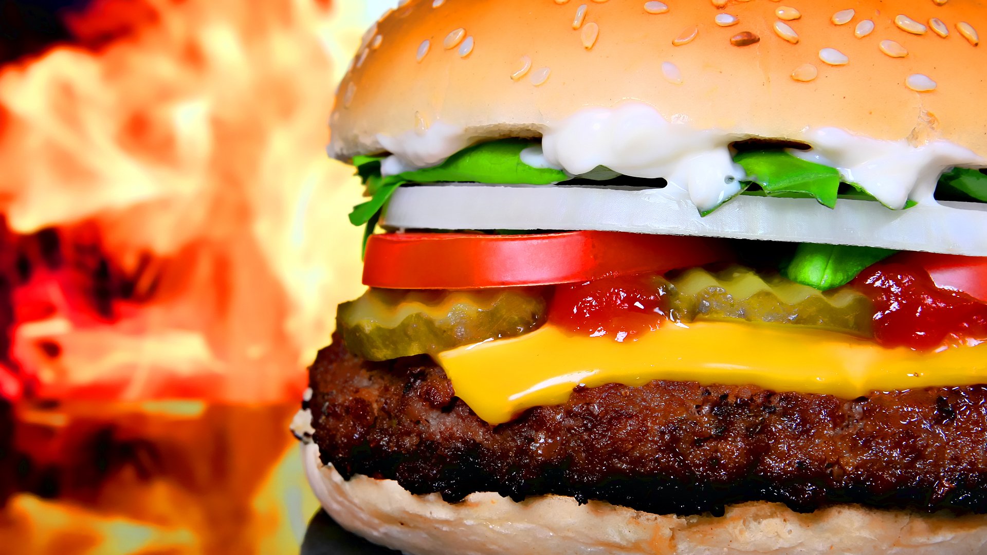  Burger HD Wallpaper Background Image 1920x1080 ID 