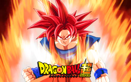 HD desktop wallpaper of Super Saiyan God Goku from Dragon Ball Super, featuring a powerful Goku in fiery aura with the Dragon Ball Super logo at the bottom.