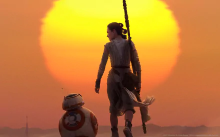In this HD wallpaper from Star Wars Episode VII: The Force Awakens, Rey stands with BB-8 against a vibrant sunset, embodying adventure and determination.