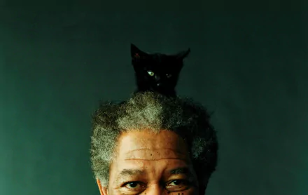 Celebrity Morgan Freeman HD Desktop Wallpaper | Background Image