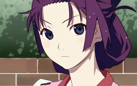 Bakemonogatari Hitagi Senjōgahara Anime Monogatari (Series) HD Desktop Wallpaper | Background Image