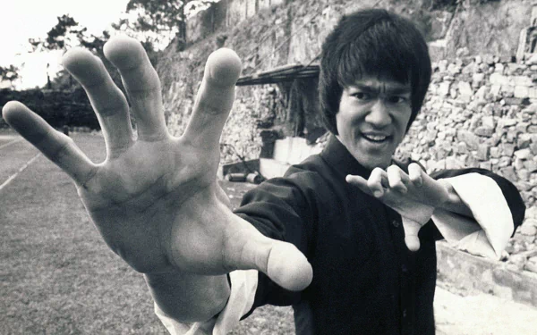 HD desktop wallpaper featuring celebrity Bruce Lee striking a martial arts pose against a stone background.