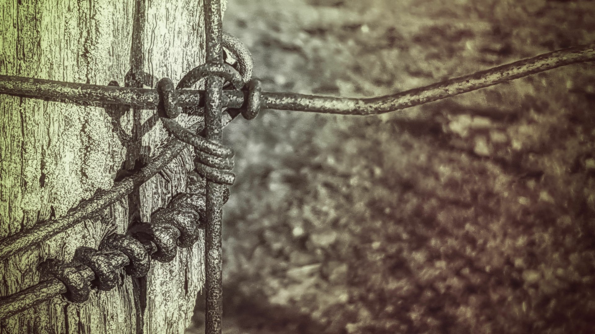 Close-up of rusted wire fence knotted around a weathered wooden post — man-made detail in a 5K Ultra HD PC desktop wallpaper background.