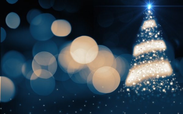 Holiday Christmas Christmas Tree Christmas Lights HD Wallpaper | Background Image