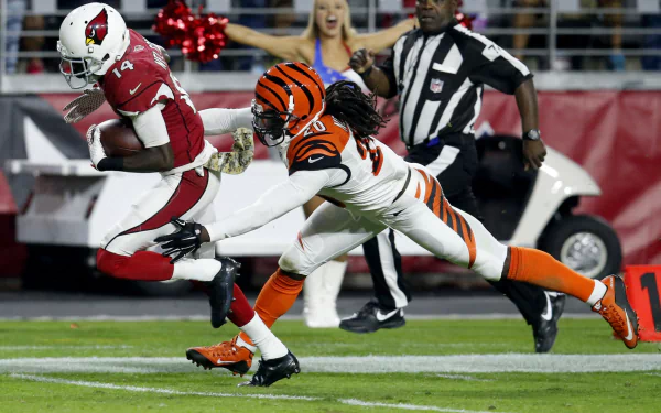 Arizona Cardinals Sports HD Desktop Wallpaper | Background Image