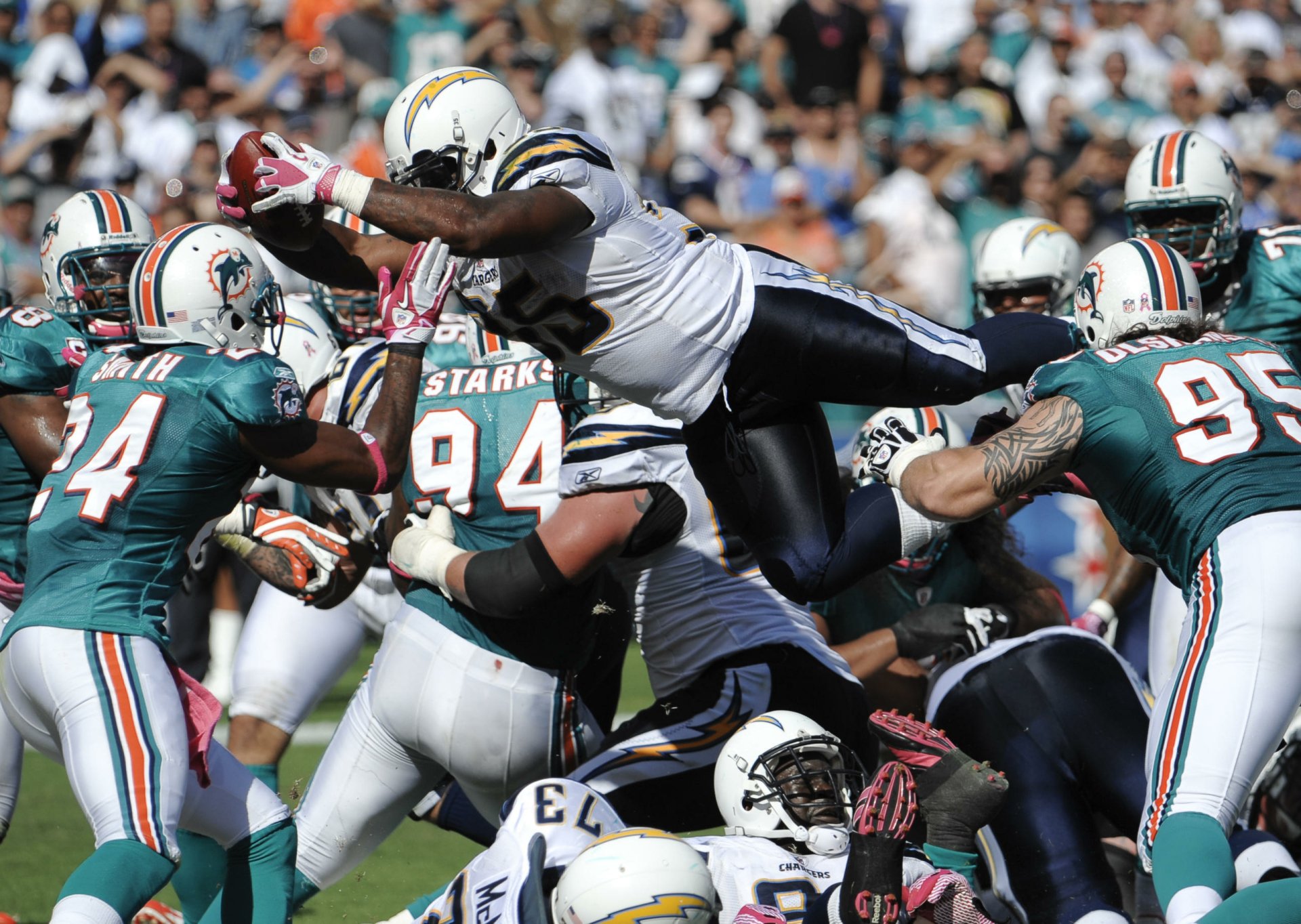 Download Miami Dolphins Sports HD Wallpaper