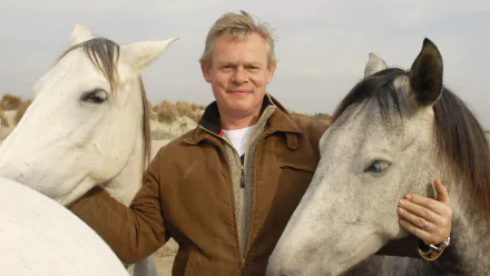horse TV Show Martin Clunes: Horsepower HD Desktop Wallpaper | Background Image