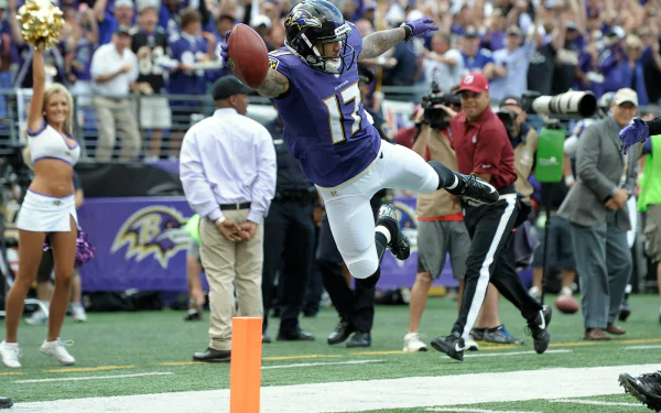 Baltimore Ravens Sports HD Desktop Wallpaper | Background Image