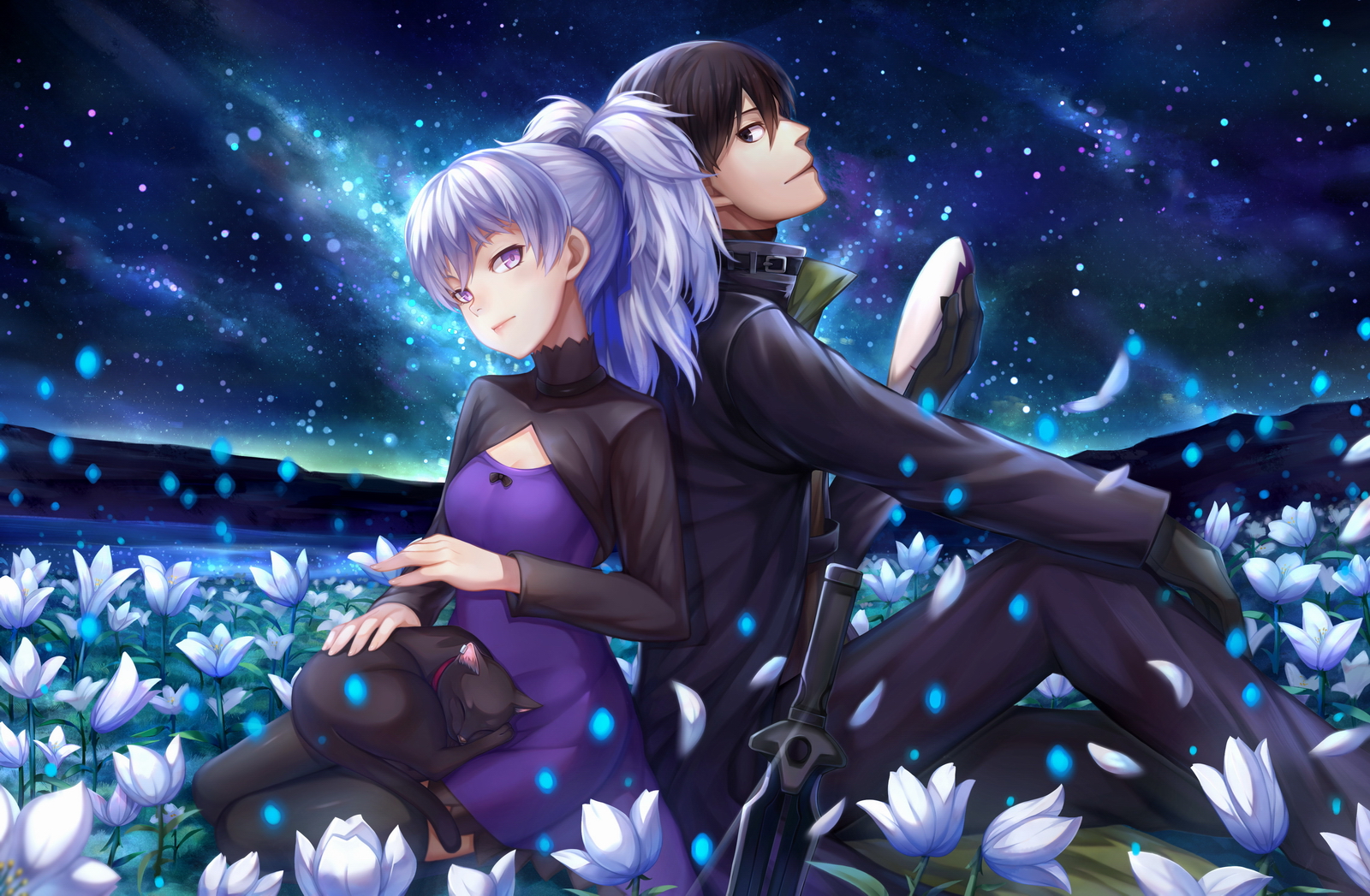 Darker than Black (Anime) –