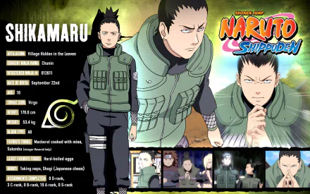 4K Ultra HD wallpaper featuring Shikamaru Nara from the anime Naruto, showcasing his character profile and images from the series, highlighting his strategic skills and personality.