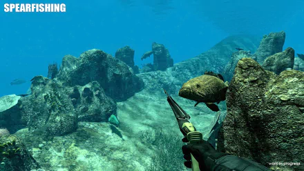 fish underwater video game Spearfishing HD Desktop Wallpaper | Background Image