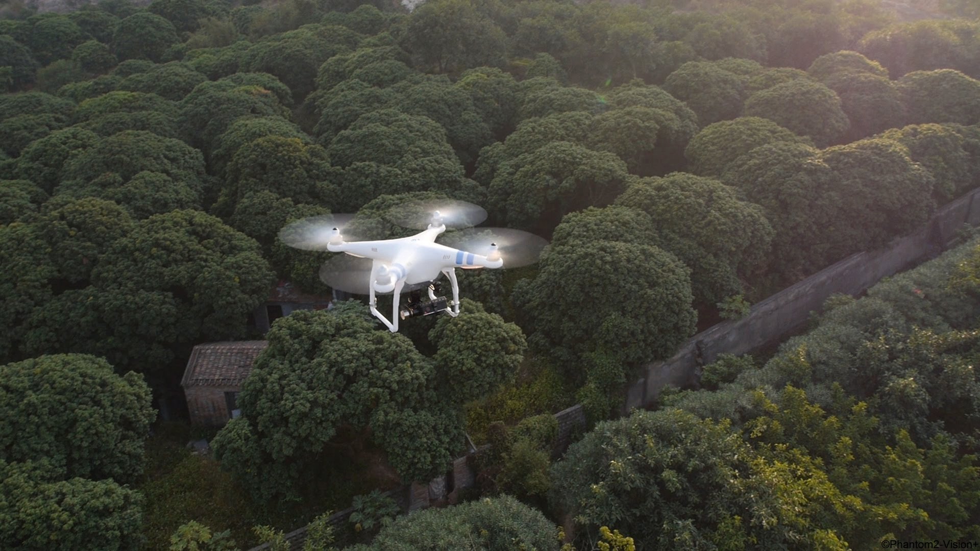 A drone flies over a lush green canopy, showcasing a vibrant landscape from above. This 8K Ultra HD image captures the beauty of man-made technology in nature.