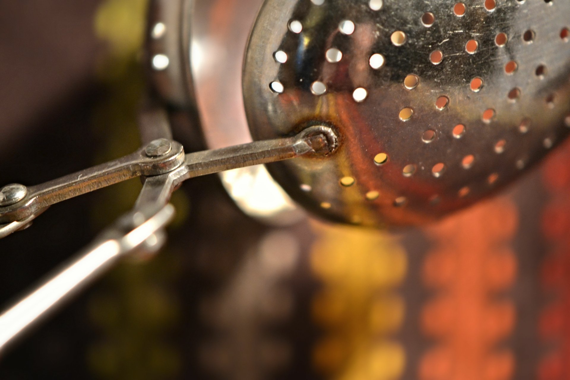 Download Close-up Photography 4k Ultra HD Wallpaper