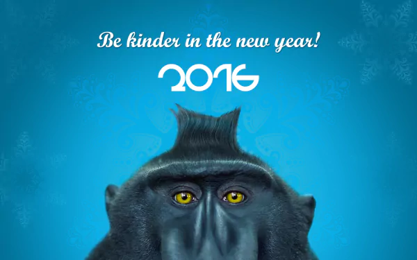 Close-up of crested black macaque's yellow eyes on a blue holiday background that reads Be kinder in the new year! 2016 — 2K Quad HD PC desktop wallpaper.