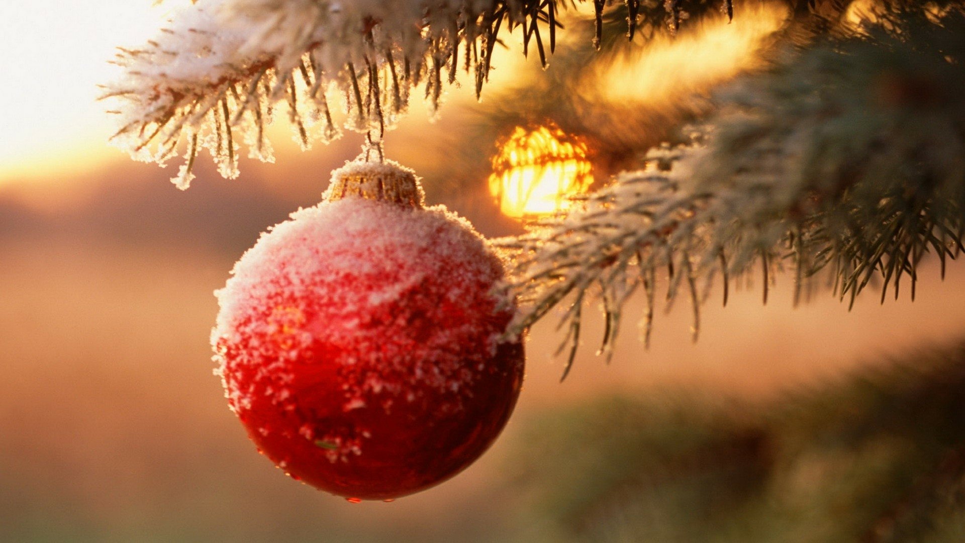 A red Christmas ornament dusted with snow hangs from a frosted pine branch, glowing warmly in golden holiday light, captured in an HD desktop wallpaper.