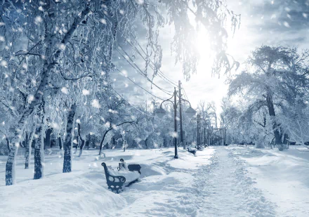 lamp post snow park bench photography winter HD Desktop Wallpaper | Background Image